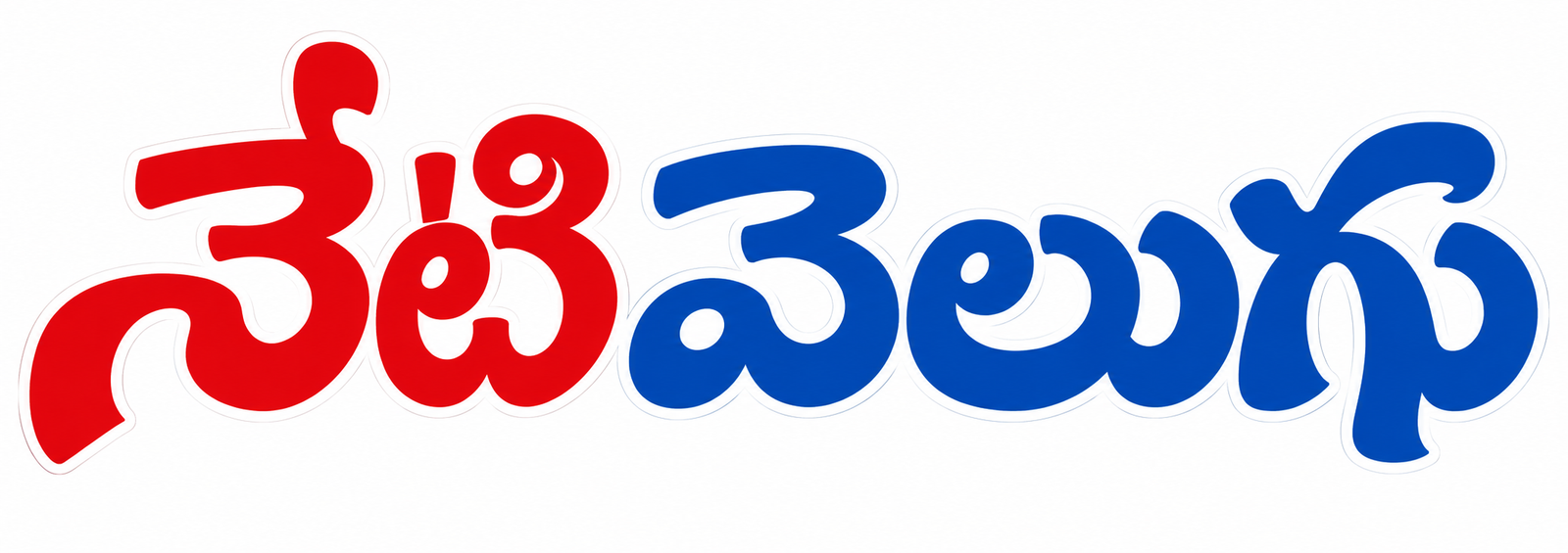 Website Logo